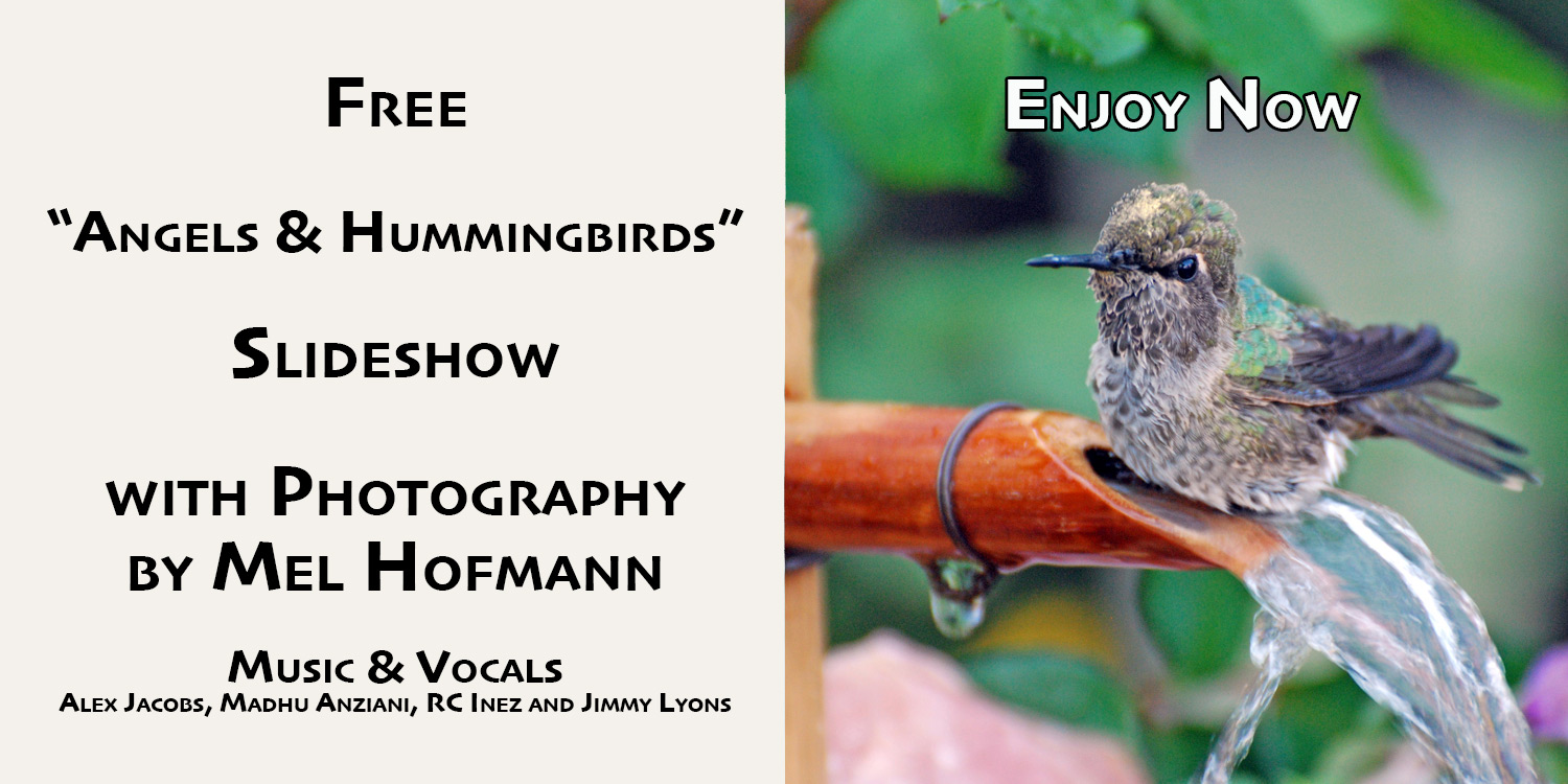 Hummingbirds Slideshow Signup Now